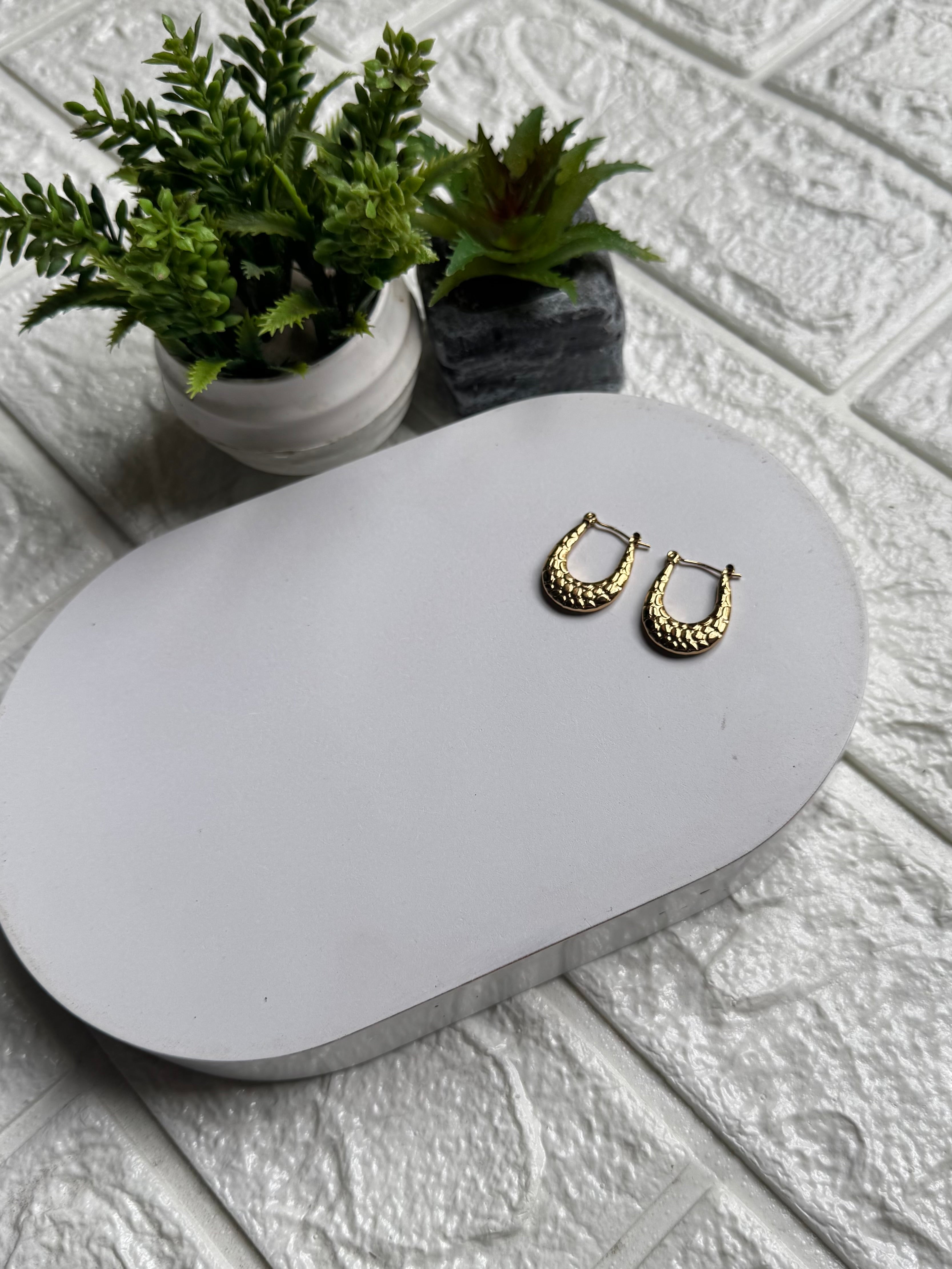 Hoop Earrings